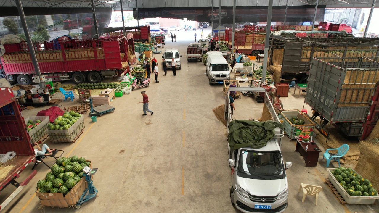 百安港農產品批發市場：西瓜匯集地